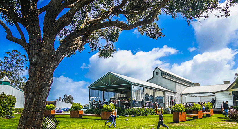 Hay Shed Hill Cellar Door